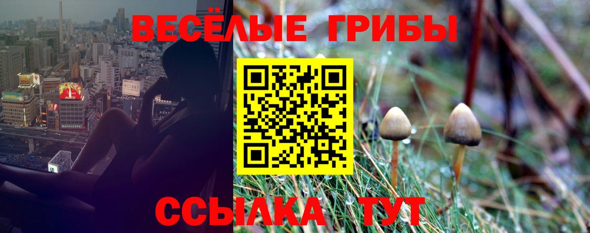 Галлюциногенные грибы Magic Shrooms  Вход с VPN  Фрязино 
